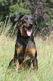 BEAUCERON 079